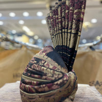 The Maroon Paisley